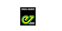 Enza Zaden